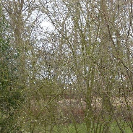 Freesteil Hohwacht Exterior foto